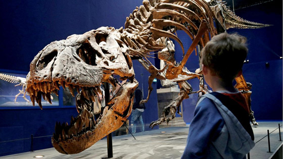 أجمل متاحف الديناصورات حول العالم صورة رقم 2