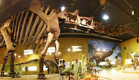 أجمل متاحف الديناصورات حول العالم صورة رقم 4
