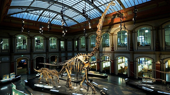 أجمل متاحف الديناصورات حول العالم صورة رقم 5