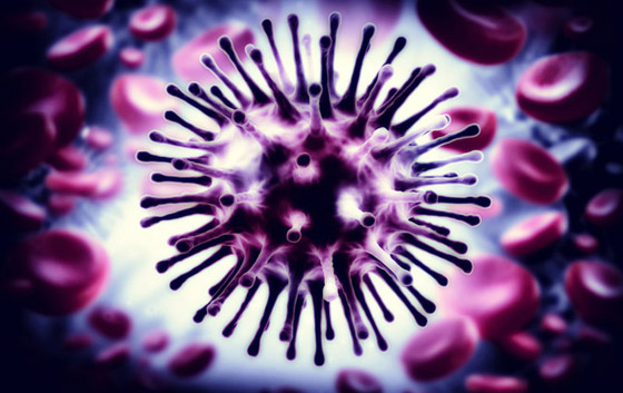 فيروس خنزيري يظهر بالصين ويدق ناقوس الخطر من وباء جديد! صورة رقم 16