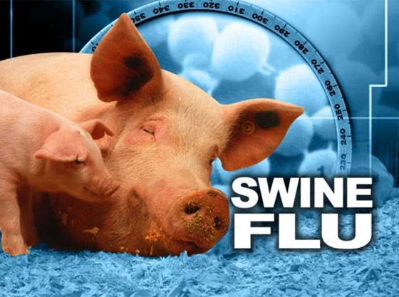 فيروس الخنازير: العالم يترقب إنفلونزا جديدة والصحة العالمية: احذروا! صورة رقم 26