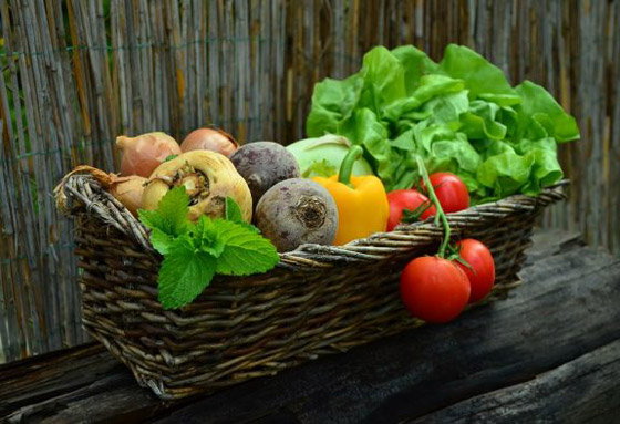 الارشادات الصحية لتنظيف الفواكه والخضروات صورة رقم 2