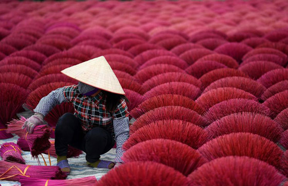 صور مدهشة: مشاهد مبهرة من الألوان الزاهية في قرية البخور في فيتنام صورة رقم 6