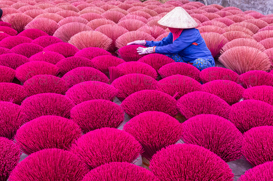 صور مدهشة: مشاهد مبهرة من الألوان الزاهية في قرية البخور في فيتنام صورة رقم 11