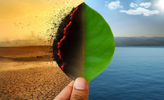 بيل غيتس يحبط العالم: أزمة تغير المناخ أسوأ من كورونا وتهدد البشرية صورة رقم 12
