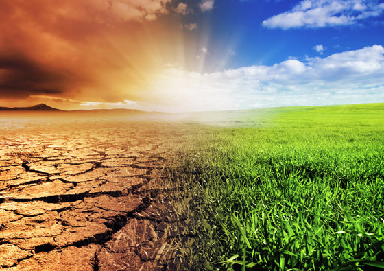 بيل غيتس يحبط العالم: أزمة تغير المناخ أسوأ من كورونا وتهدد البشرية صورة رقم 13