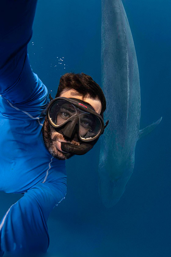 غواص يخاطر بحياته لالتقاط صورة بعمق المحيط مع حوت أزرق عملاق! صورة رقم 1
