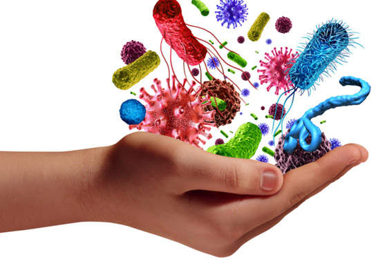 كيف نحافظ على البكتيريا النافعة عند تعقيم الأيدي بالمطهرات؟ صورة رقم 1