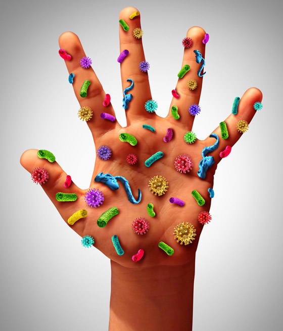 كيف نحافظ على البكتيريا النافعة عند تعقيم الأيدي بالمطهرات؟ صورة رقم 3