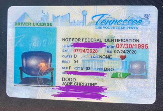 استبدلوا وجهها بمقعد شاغر.. خطأ غريب في رخصة قيادة خاصة بأمريكية! صورة رقم 1
