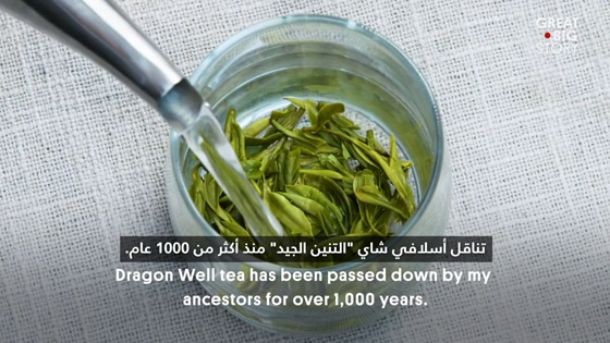 عمره أكثر من ألف عام.. تعرف على أسرار أفضل أنواع الشاي الأخضر بالعالم صورة رقم 3