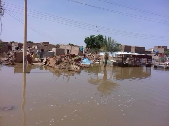 فيديو.. الدرون ترصد الدمار الهائل في شندي السودانية صورة رقم 4