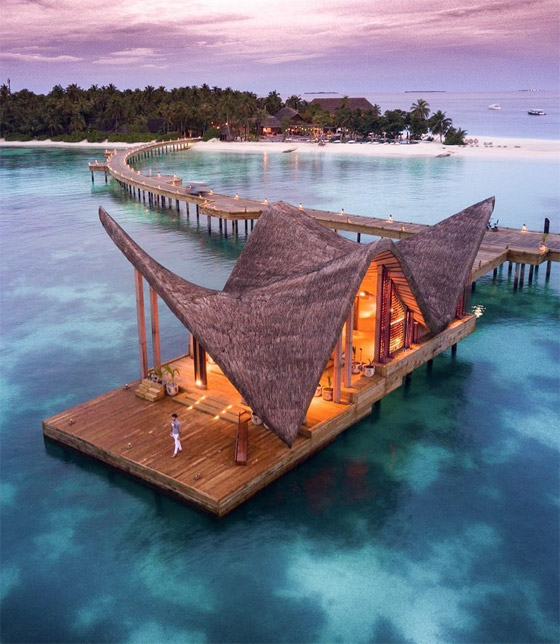 لماذا يجب أن تزور جزر المالديف الخلابة مرة واحدة على الأقل في العمر؟ صورة رقم 13