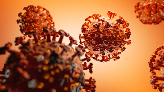 الصحة العالمية تحذر من تصاعد فيروس كورونا مع اقتراب الشتاء صورة رقم 4