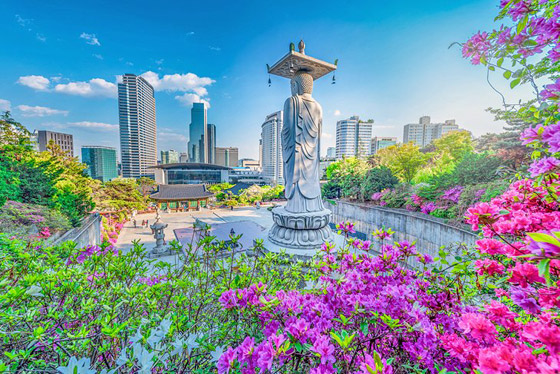 أهلا بكم في سيول عاصمة كوريا الجنوبية: مدينة المستقبل التي لا تنام صورة رقم 25