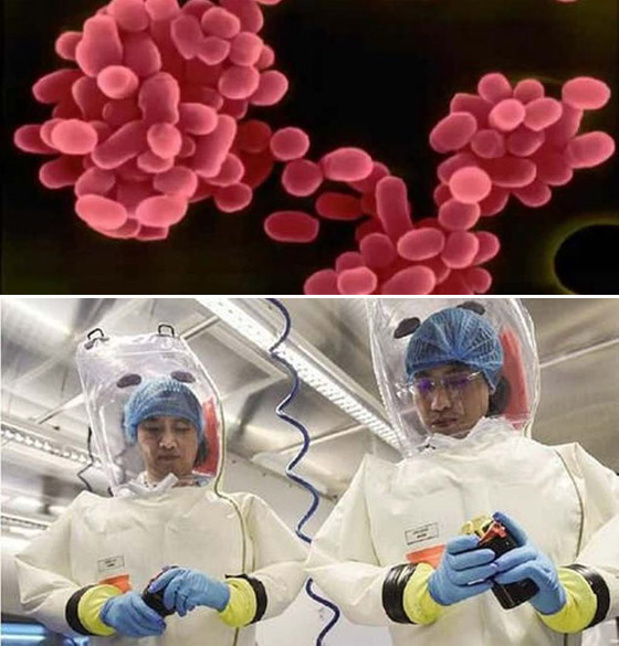 انتشار فيروس جديد في الصين بسبب تسرب من مختبر اللقاحات! صورة رقم 2