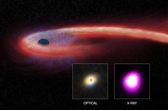 تلسكوبات العالم ترصد ثقبا أسود يلتهم نجما ويُحدث انفجارا ضوئيا ضخما صورة رقم 7