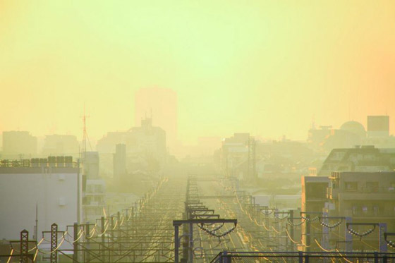 كوريا الشمالية تحذر من غبار أصفر كارثي قادم من الصين يحمل كورونا صورة رقم 8