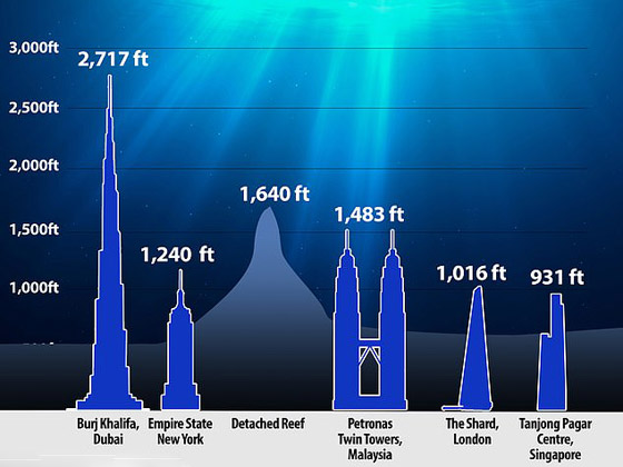 برج الشفرة: اكتشاف جبل مرجاني هائل في أعماق البحر ينافس برج خليفة صورة رقم 4