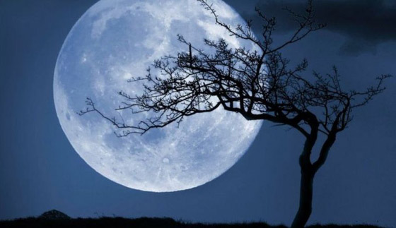 هل ستكون ليلة عيد الهالوين أكثر رعبا مع ظاهرة القمر الأزرق هذا العام؟ صورة رقم 6