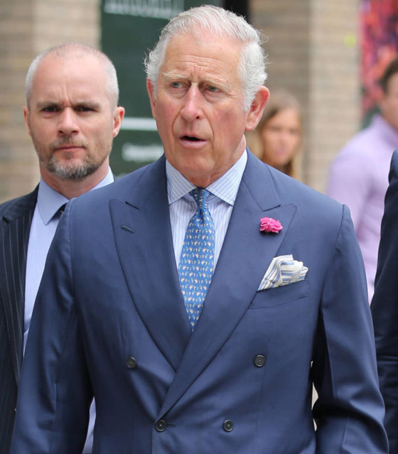 مجلة فوغ: ولي العهد الأمير تشارلز أكثر رجال بريطانيا أناقة.. صور صورة رقم 20