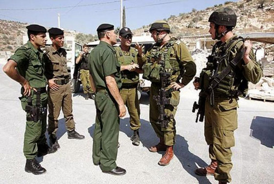 السلطة الفلسطينية تعلن عودة التنسيق الأمني مع إسرائيل صورة رقم 3