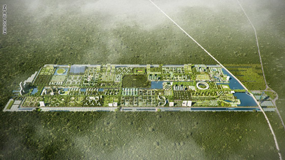 هكذا تُصمم مدن المستقبل في الهند والصين ودبي والفلبين والمكسيك ونيجيريا صورة رقم 3
