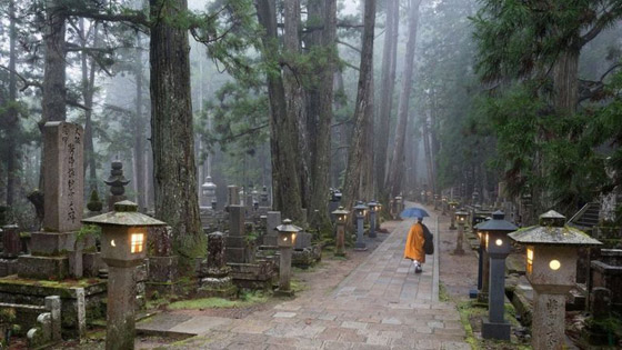 ماذا تعرف عن العالم الخفي للمعابد اليابانية المدرجة على قائمة التراث العالمي؟ صورة رقم 2