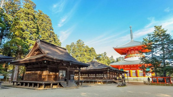 ماذا تعرف عن العالم الخفي للمعابد اليابانية المدرجة على قائمة التراث العالمي؟ صورة رقم 7