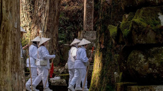 ماذا تعرف عن العالم الخفي للمعابد اليابانية المدرجة على قائمة التراث العالمي؟ صورة رقم 9
