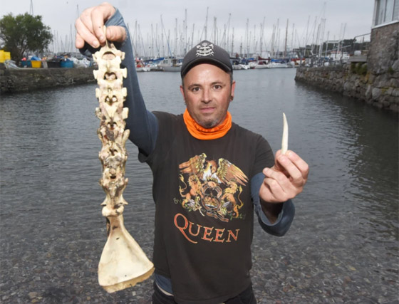 بالصور: العثور على بقايا عظام حورية البحر في بريطانيا! صورة رقم 1
