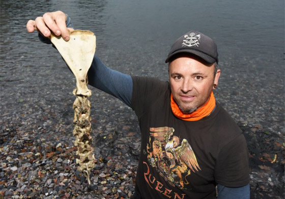 بالصور: العثور على بقايا عظام حورية البحر في بريطانيا! صورة رقم 3