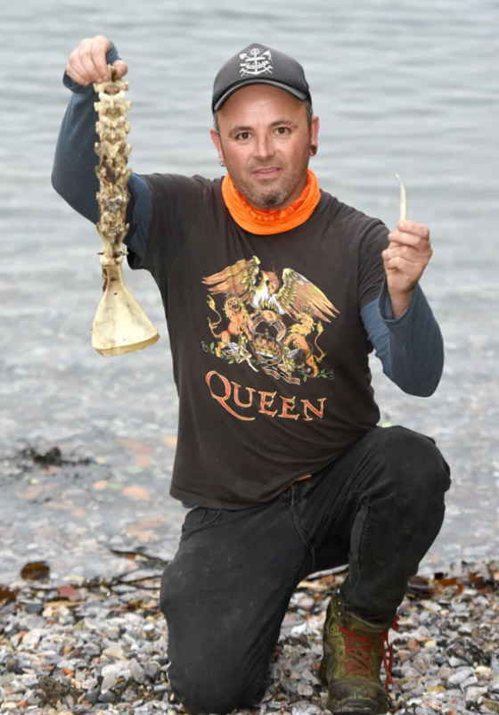 بالصور: العثور على بقايا عظام حورية البحر في بريطانيا! صورة رقم 4