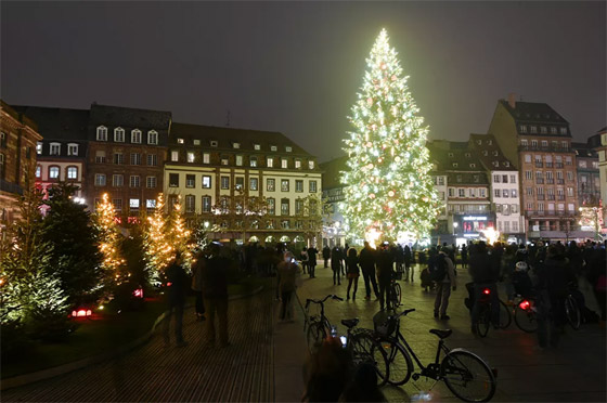 أكثر أشجار عيد الميلاد التقليدية وغير التقليدية روعة حول العالم في 2020 صورة رقم 25