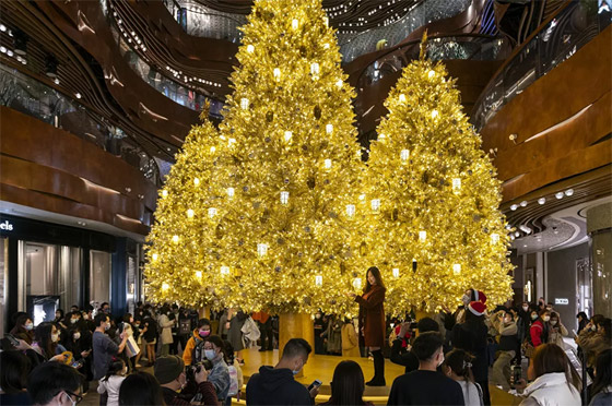 أكثر أشجار عيد الميلاد التقليدية وغير التقليدية روعة حول العالم في 2020 صورة رقم 28
