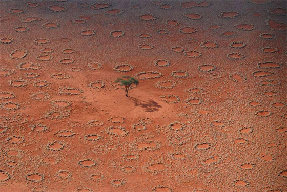 دوائر الجنيات في صحراء ناميبيا.. لغز طبيعي مدهش يستحق الاكتشاف! صورة رقم 2