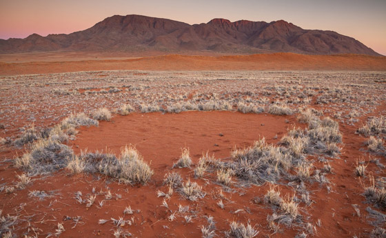 دوائر الجنيات في صحراء ناميبيا.. لغز طبيعي مدهش يستحق الاكتشاف! صورة رقم 4