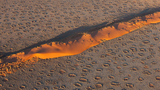 دوائر الجنيات في صحراء ناميبيا.. لغز طبيعي مدهش يستحق الاكتشاف! صورة رقم 5