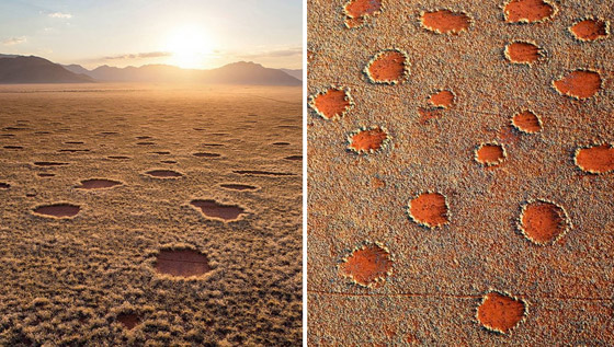دوائر الجنيات في صحراء ناميبيا.. لغز طبيعي مدهش يستحق الاكتشاف! صورة رقم 1
