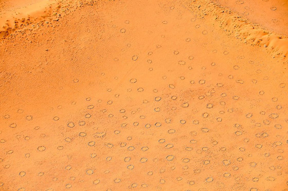 دوائر الجنيات في صحراء ناميبيا.. لغز طبيعي مدهش يستحق الاكتشاف! صورة رقم 9