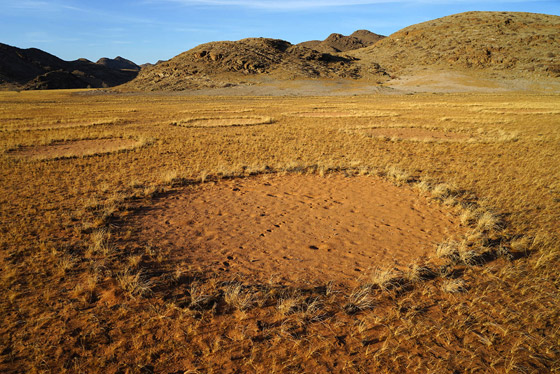 دوائر الجنيات في صحراء ناميبيا.. لغز طبيعي مدهش يستحق الاكتشاف! صورة رقم 10