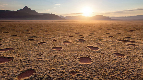 دوائر الجنيات في صحراء ناميبيا.. لغز طبيعي مدهش يستحق الاكتشاف! صورة رقم 11