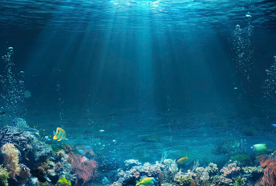 بالصور: إليكم 5 من أغرب الكائنات البحرية الشفافة العجيبة صورة رقم 7