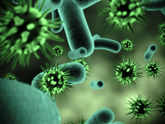 تعرفوا على الفيروسات والبكتيريا التي تلتهم أمراض الإنسان! صورة رقم 14