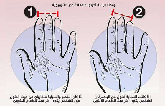 دراسة تكشف علاقة غريبة بين طول أصابع اليد وتفضيلات الطعام! صورة رقم 1