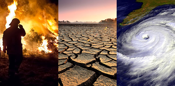 تغير المناخ.. أكبر المخاطر التي تهدد الطبيعة! صورة رقم 8