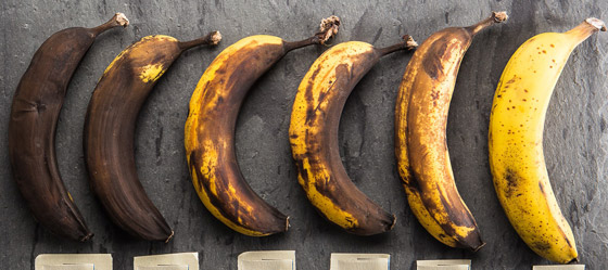 غني بالفوائد لكنه يفسد بسرعة.. إليكم 6 طرق للحفاظ على الموز لمدة طويلة صورة رقم 5