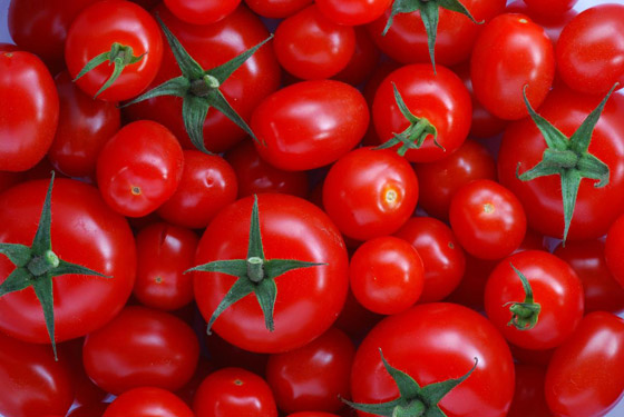 الطماطم.. فاكهة الملوك المذيبة للدهون صورة رقم 5