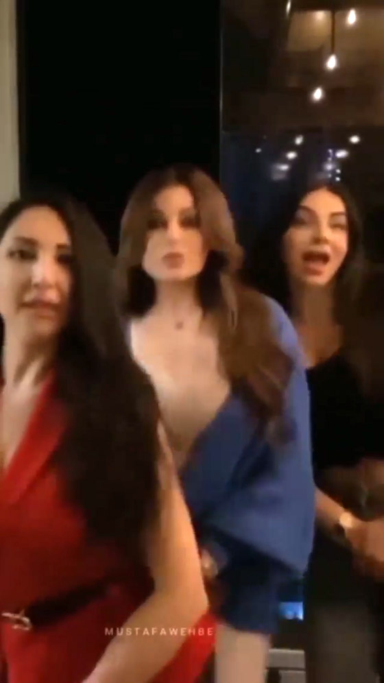 فيديو ‏رقص هيفاء وهبي على ‏أغنية (نظرة) لحكيم مع صديقاتها صورة رقم 2