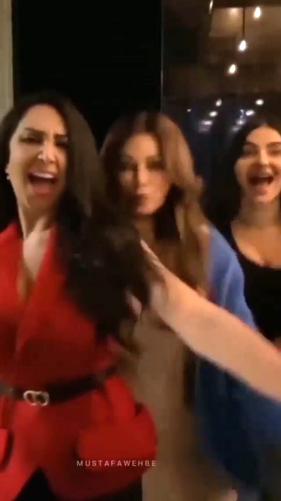 فيديو ‏رقص هيفاء وهبي على ‏أغنية (نظرة) لحكيم مع صديقاتها صورة رقم 3